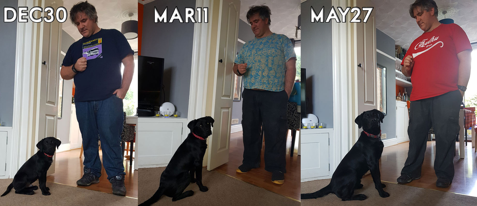 For fans of puppies and/or documentation…