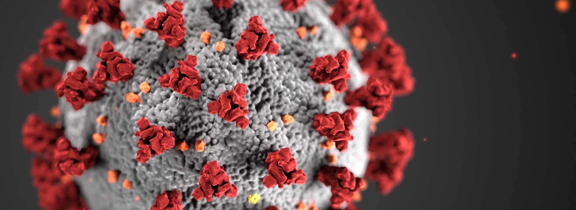 Coronavirus links