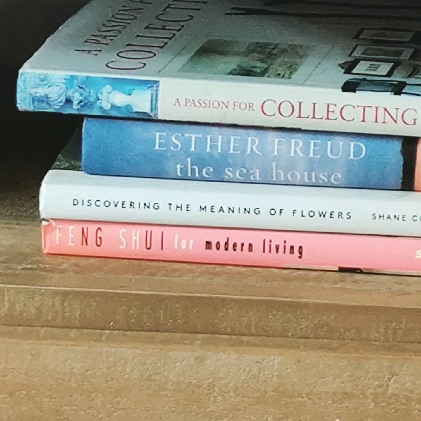 There appears to be a book about Feng Shui on the shelf under the telly. If be interested to have a look, only I'm afraid if I move it it'll disrupt the flow of energy in the room.